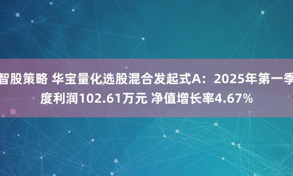 智股策略 华宝量化选股混合发起式A：2025年第一季度利润102.61万元 净值增长率4.67%