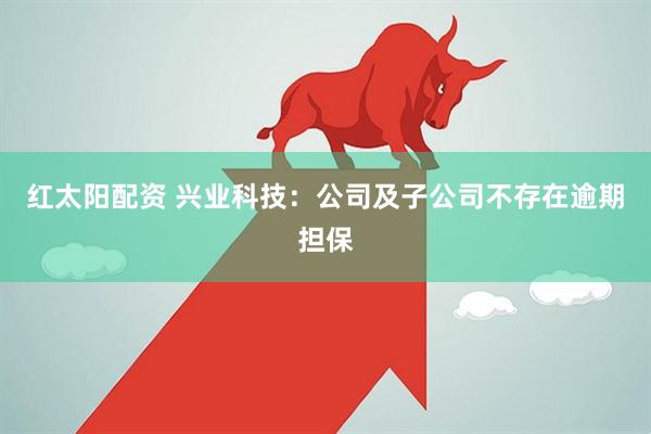 红太阳配资 兴业科技：公司及子公司不存在逾期担保
