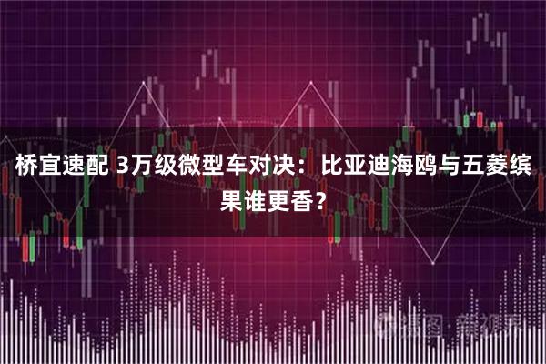 桥宜速配 3万级微型车对决：比亚迪海鸥与五菱缤果谁更香？