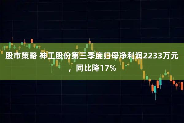 股市策略 神工股份第三季度归母净利润2233万元，同比降17%